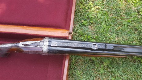 Unico y exclusivo rifle Express EGO modelo exclusive, calibre 470N. E. con cañon adicional en calibre 11