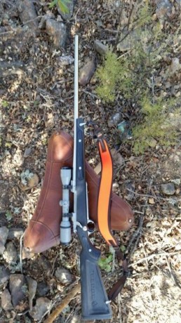 Tengo entre ceja y ceja un rifle en inox, no soporto ver salir una mota de óxido en cualquiera de mis 10