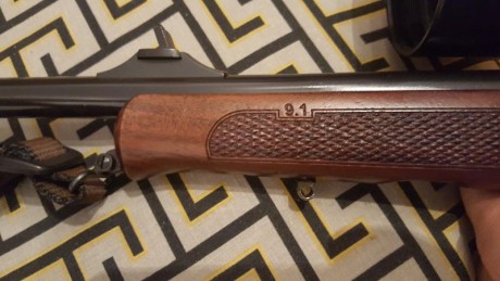 vendo monotiro con apenas 5meses de uso, comprado nuevo en armeria.
disparador convencional y al pelo.

cal 10