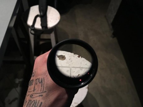 Vendo visor khales helia c 1,5-6x42
El visor tiene las típicas marcas de uso, pero no tiene ningún golpe 10