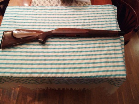 Hola compañeros. 
 
Cambio una culata de zurdo por otra de diestro, de un rifle Remington 700 cal 308, 01