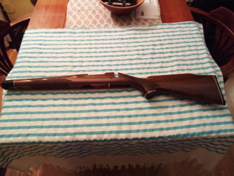 Hola compañeros. 

Cambio una culata de zurdo por otra de diestro, de un rifle Remington 700 cal 308, 02