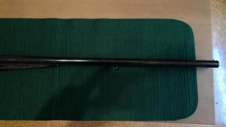 Vendo escopeta de perrillos antigua de la marca Sarasqueta del calibre 12. Esta restaurada.
El arma esta 12