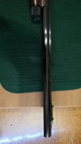 VENDO Benelli SL121 calibre 12, funciona perfectamente y está en perfecto estado. La escopeta se encuentra 10