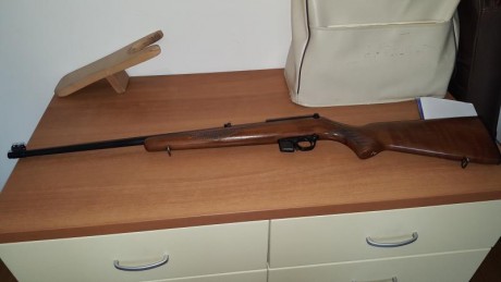  VENDIDA  Carabina de gran calidad, calibre 22, toda de acero mecanizado, no micro fusión, muy buena precisión, 00