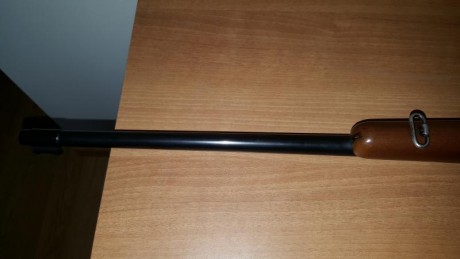  VENDIDA  Carabina de gran calidad, calibre 22, toda de acero mecanizado, no micro fusión, muy buena precisión, 21