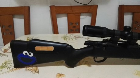 bueno pues se pone a la venta esta sako quad del 22 , esta muy bien cuidada magnificas agrupaciones bueno 00