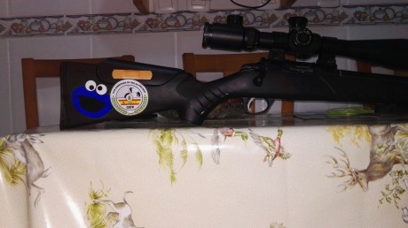 bueno pues se pone a la venta esta sako quad del 22 , esta muy bien cuidada magnificas agrupaciones bueno 10