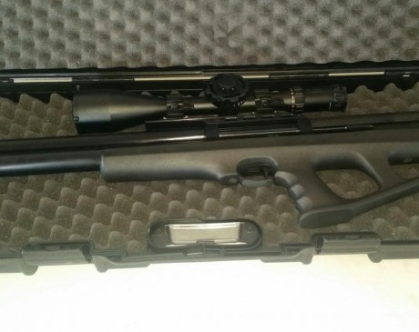 Hola vendo fx wildcat del calibre 6.35 sin visor tiene alguna marca de uso pero sin importancia como se 11