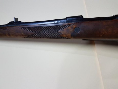 Vendo este Santa barbara 7x64 con el gatillo de pelo renager.en 600€  :sniper

Nuevo precio para animar 62