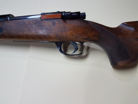 Vendo este Santa barbara 7x64 con el gatillo de pelo renager.en 600€  :sniper

Nuevo precio para animar 61