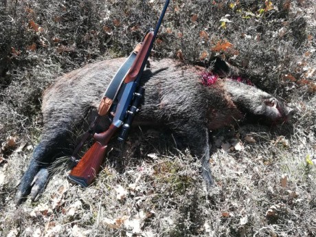 Pues eso, que nos invitaron a decir aquí lo mierda que es el 30-06...

https://www.armas.es/foros/conversacion-general/se-sabe-algo-de-jabali-viejo-1041988

Yo 170