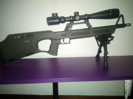 Buenos días a todos!
Hace algunos meses conseguí esta carabina a través de un trueque con un compañero 02