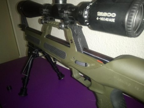 Buenos días a todos!
Hace algunos meses conseguí esta carabina a través de un trueque con un compañero 00