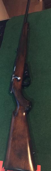 Buenos días a todos!
Hace algunos meses conseguí esta carabina a través de un trueque con un compañero 52