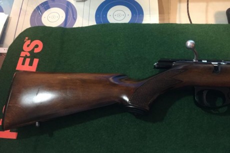 Buenos días a todos!
Hace algunos meses conseguí esta carabina a través de un trueque con un compañero 50