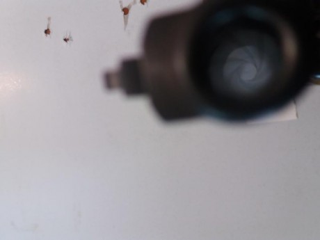 Vendo revolver k14-4 cal 38  en perfecto estado interior  exterior. 
Poco se puede decir de este arma 01