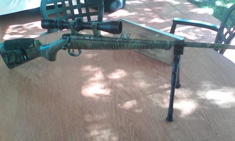 Vendo carabina custom cz 452 tal cual esta en la foto. Precio 250€ 00