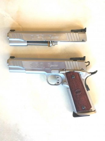 Hola:
Se pone en venta este arma, pistola SPS FALCON con acabados en cromo duro planta, de 5 pulgadas 00