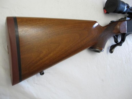 Vendo monotiro Ruger nr. 1 cal. 7 x 57 con visor Bushnell 3-9x40 en muy buen estado, sin rozadoras y bien 10