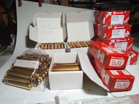 Un lote de 118 vainas de un tiro RWS, pasadas por tumbler y alguna calibrada y despistonada y 400 puntas 01
