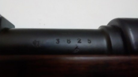 Vendo Mauser K98 S-42 G de 1.935 cal. 8x57 en muy buen estado y según me dijo un forero, de captura rusa.

Maderas 151