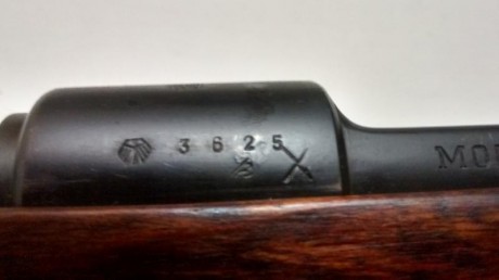 Vendo Mauser K98 S-42 G de 1.935 cal. 8x57 en muy buen estado y según me dijo un forero, de captura rusa.

Maderas 150