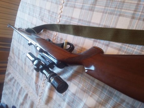Buanas. Por necesidad de hacer sitio en el armero vendo mi carabina semiautomática  del .22 magnum. Es 02