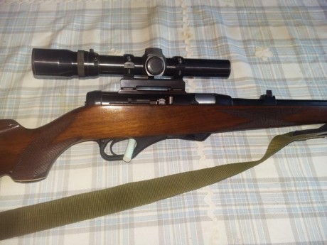 Buanas. Por necesidad de hacer sitio en el armero vendo mi carabina semiautomática  del .22 magnum. Es 01