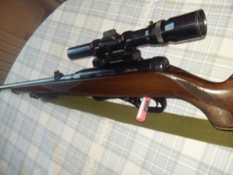 Buanas. Por necesidad de hacer sitio en el armero vendo mi carabina semiautomática  del .22 magnum. Es 12