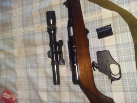Buanas. Por necesidad de hacer sitio en el armero vendo mi carabina semiautomática  del .22 magnum. Es 10