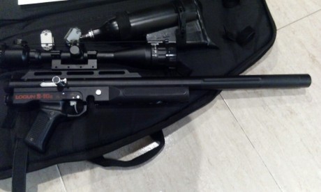 Se venden dos carabinas  Pcp, una Gamo Dynamax, con regulador lobo puesto, y una Logun S16 con dos botellas 00