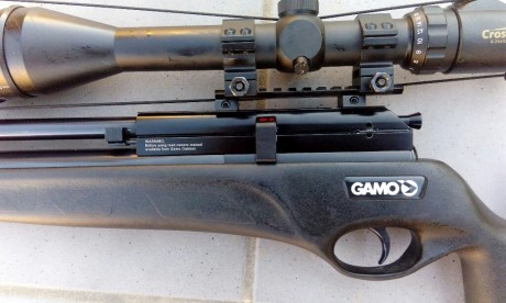 Se venden dos carabinas  Pcp, una Gamo Dynamax, con regulador lobo puesto, y una Logun S16 con dos botellas 11