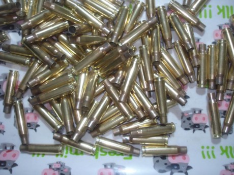 Hola,

Vendo trescientas (300) vainas del calibre .308 W marca Cineshot by RWS con un solo tiro, tratamiento 01