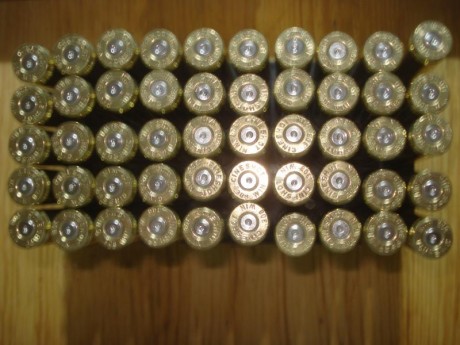 Hola,

Vendo trescientas (300) vainas del calibre .308 W marca Cineshot by RWS con un solo tiro, tratamiento 00