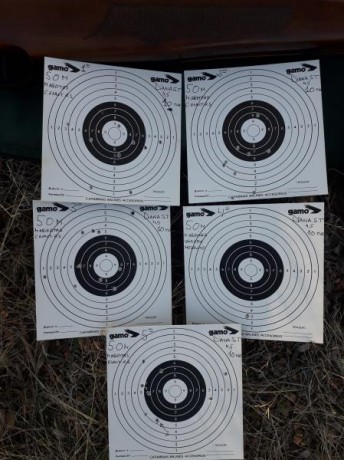 Bueno...empezaré con una perogrullada.No todos los balines valen para cada cañón,conviene probar vários.Esto 10
