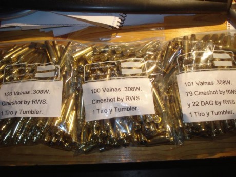Hola,

Vendo trescientas (300) vainas del calibre .308 W marca Cineshot by RWS con un solo tiro, tratamiento 10