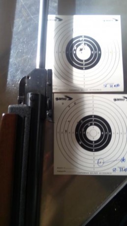 Hola, OS pongo dos dianas hechas con los 2 modelos clásicos de gamo que mas me gustan, por concepto y 02