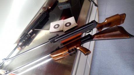 Hola, OS pongo dos dianas hechas con los 2 modelos clásicos de gamo que mas me gustan, por concepto y 11