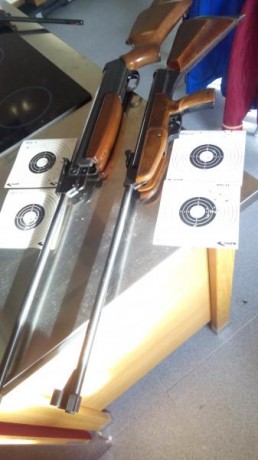 Hola, OS pongo dos dianas hechas con los 2 modelos clásicos de gamo que mas me gustan, por concepto y 10