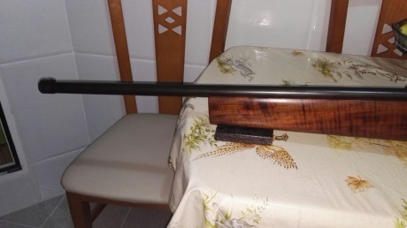 Pues eso un amigo me pide que ponga a la venta una carabina walter kkm uit del calibre 22 en perfecto 00