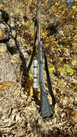 Pues eso, que nos invitaron a decir aquí lo mierda que es el 30-06...

https://www.armas.es/foros/conversacion-general/se-sabe-algo-de-jabali-viejo-1041988

Yo 111