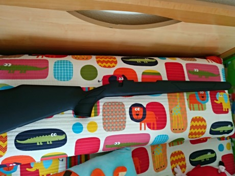 Hola compañeros:

Lo dicho:

Se vende culata sintética NUEVA SIN ESTRENAR apta para acciones 700, tales 02