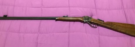 Cambio o vendo rifle tipo Sharp calibre 45LC por rifle Sharp o Rolling block en calibre 45-70, ajustando 01