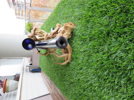 Pues eso vendo mi conjunto muy a mi pesar y por falta de tiempo mi carabina WEIHRAUCH HW66 22 LR con VISOR 02