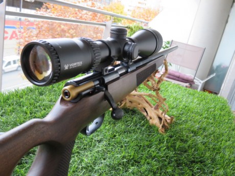 Pues eso vendo mi conjunto muy a mi pesar y por falta de tiempo mi carabina WEIHRAUCH HW66 22 LR con VISOR 11