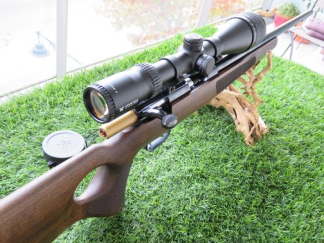 Pues eso vendo mi conjunto muy a mi pesar y por falta de tiempo mi carabina WEIHRAUCH HW66 22 LR con VISOR 20