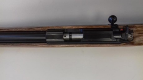 CZ 455 THUMBHOLE es un modelo interesante para el tiro deportivo y para la caza.

CZ 455 THUMBHOLE con 01