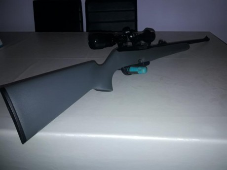 Hola, vendo carabina 22 remington 597 con mira Bushnell sportview , esta solo estrenada, estoy ahorrando 01