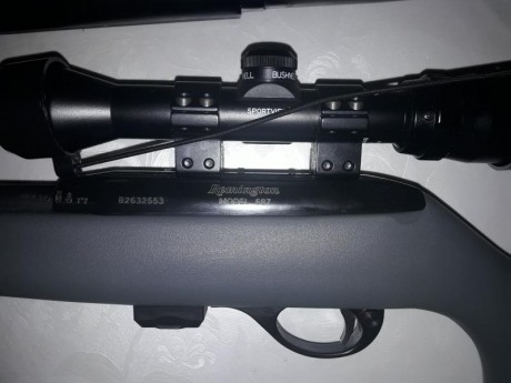Hola, vendo carabina 22 remington 597 con mira Bushnell sportview , esta solo estrenada, estoy ahorrando 00
